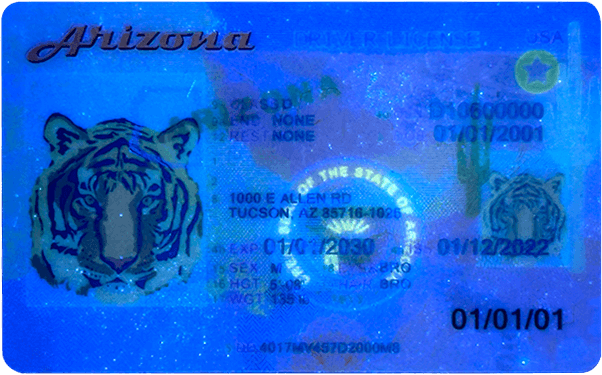 What Are the Emerging Trends in Fake Driver’s License Design