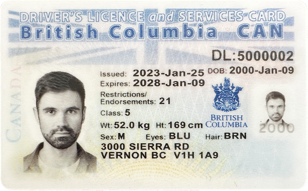 How Do Mini - Golf Courses Check for Customer’s Driver’s Licenses
