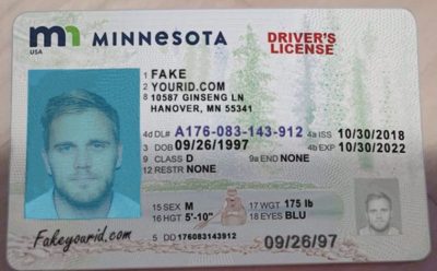 How Do Educational Institutions Check for Fake Driver’s Licenses