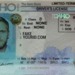 Idaho Scannable Fake ID