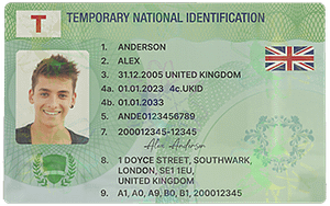 Real ID and the Role of Art Galleries in Patron Verification